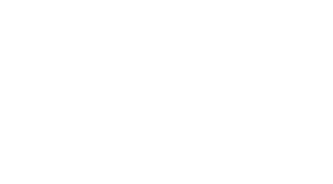 Mayfly News.net logo